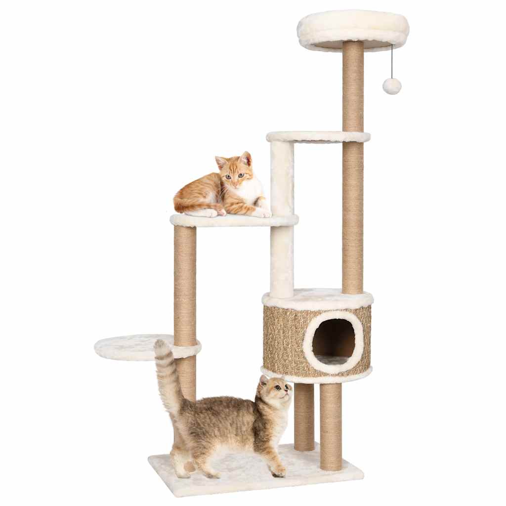 Alles voor katten